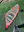 Platzhalter: Image of Sailloft Air 4.4